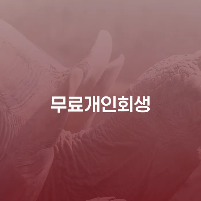 개인회생신용등급 대출 받은 돈채무조정 경험 많은 곳에서