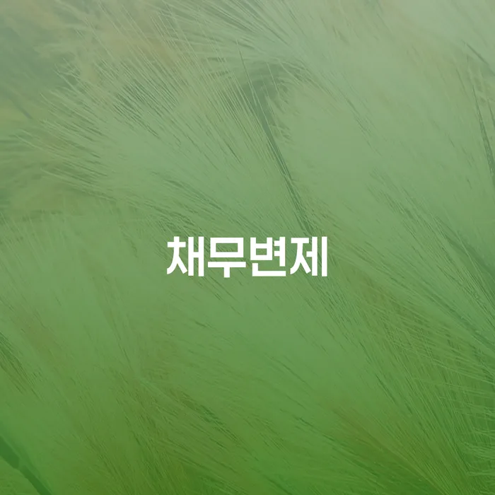 빛청산 개인회생 제도 검토하여