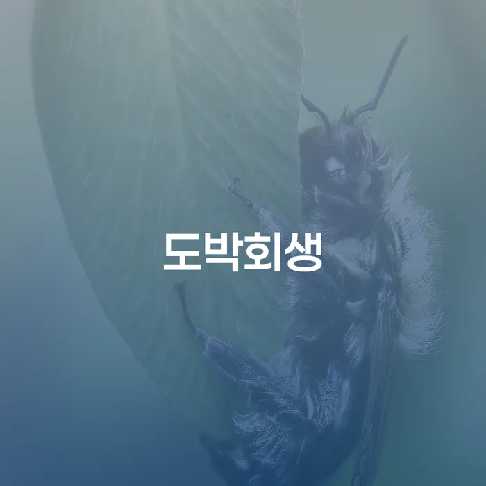 개인회생사례 대출 연체 개인회생 해결하고 싶다면