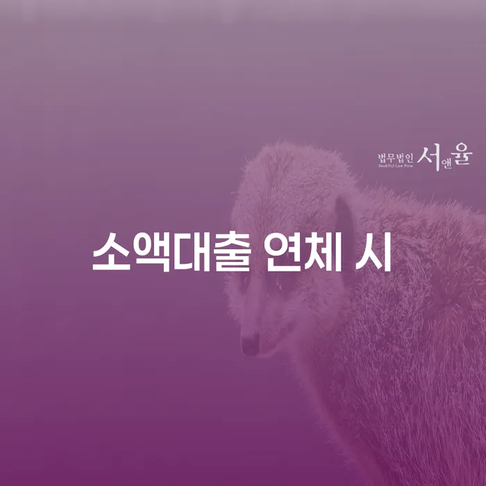 빚갚는방법 빚갚는 방법 잘하는 곳