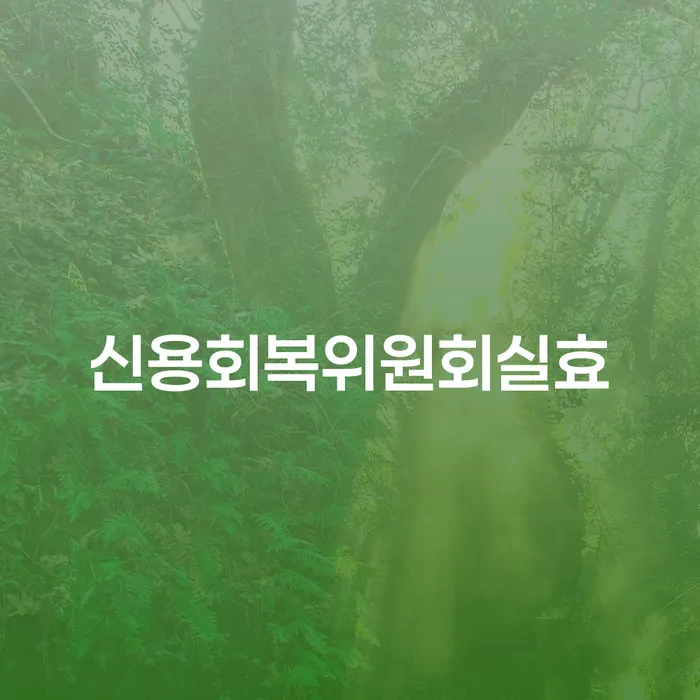 개인회생문의 개인회생으로 해결방법 변호사추천