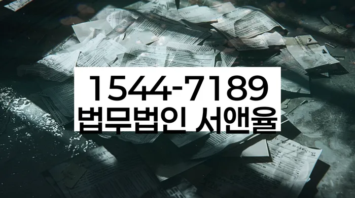 개인회생금지명령기각