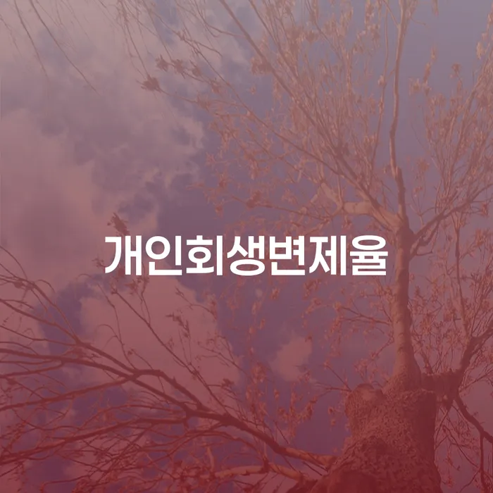 보이스피싱개인회생 개인회생 어떻게 진행되는지
