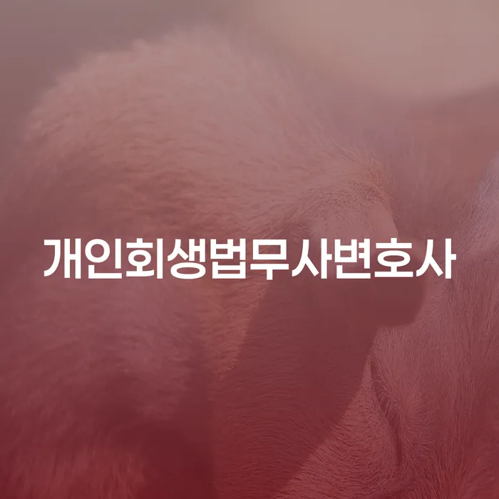 개인회생 비용저렴한 빚 합법적인 빠른방법 직접 물어보고