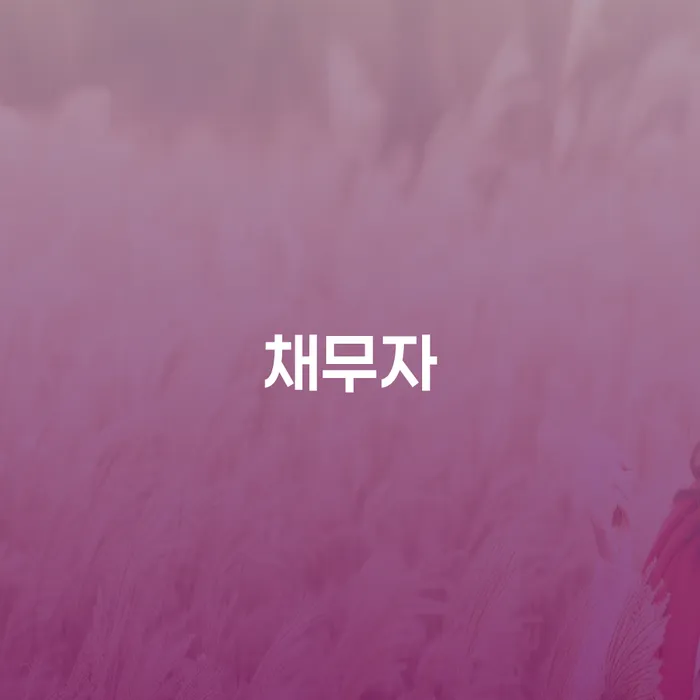 파산 채무 효과적인 해결방법 정해지는