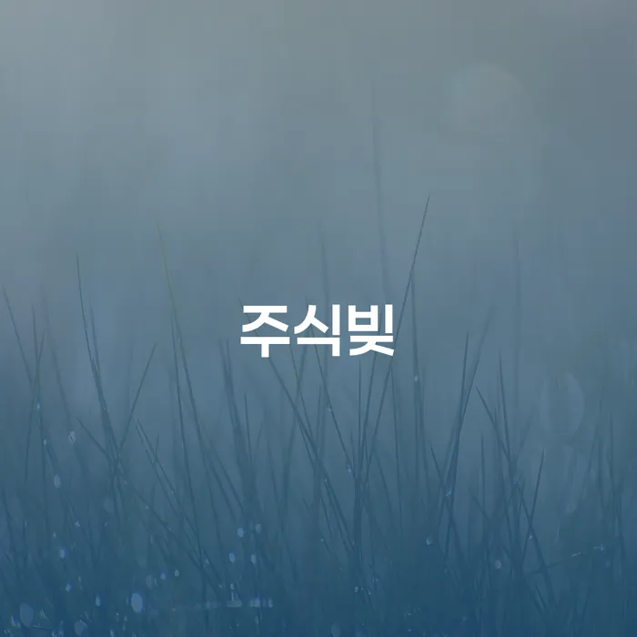 개인회생 카드빚 연체 문제를 해결