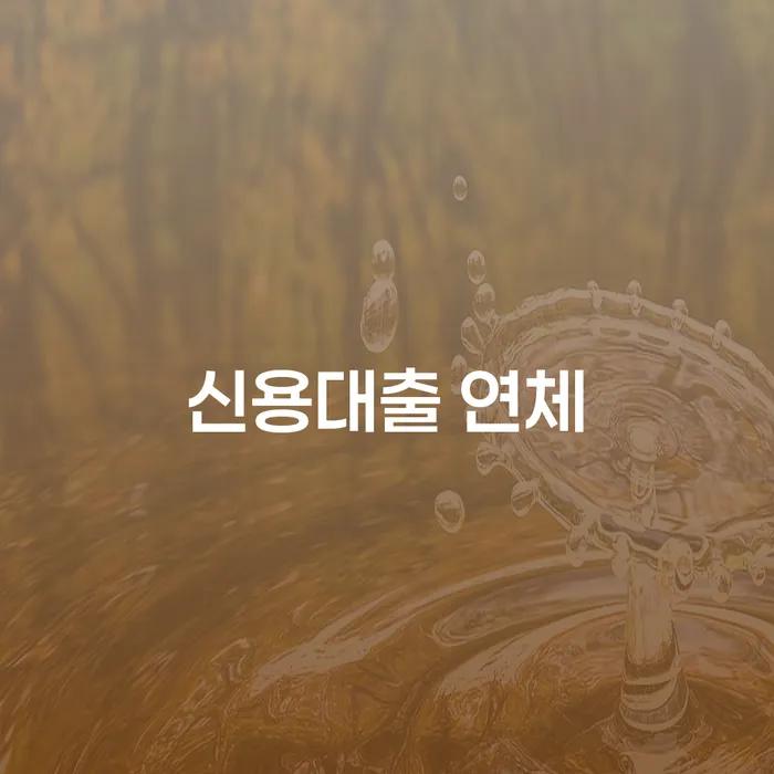 원주시 카드연체금 카드빚 연체 경험 많은 곳에서