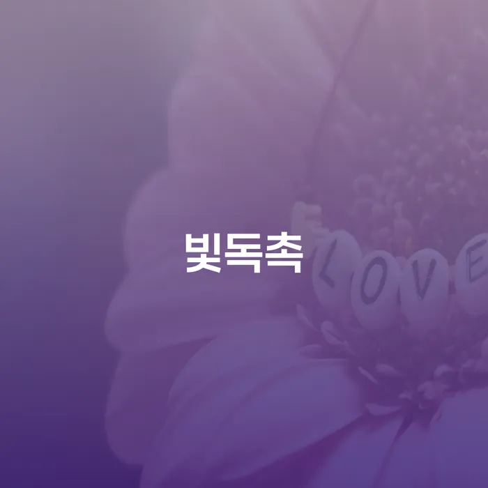 서초구 개인회생변호사추천 개인회생 도움이 되는