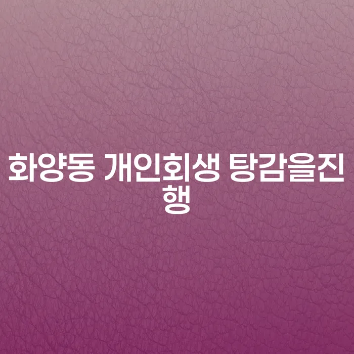 화양동 개인회생 탕감을진행