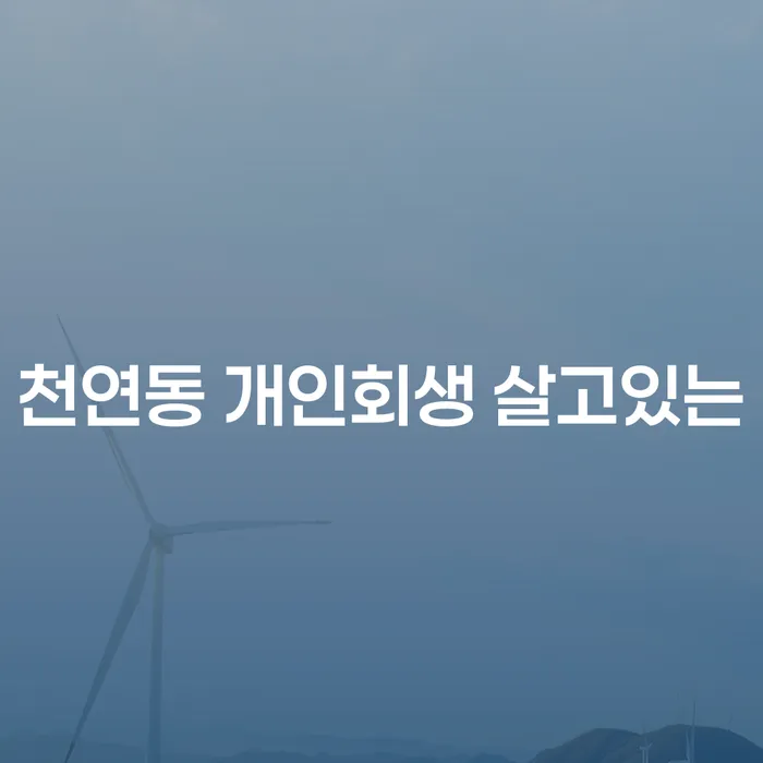 천연동 개인회생 살고있는
