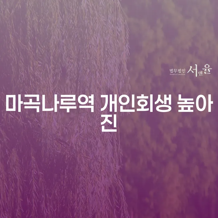 마곡나루역 개인회생 높아진