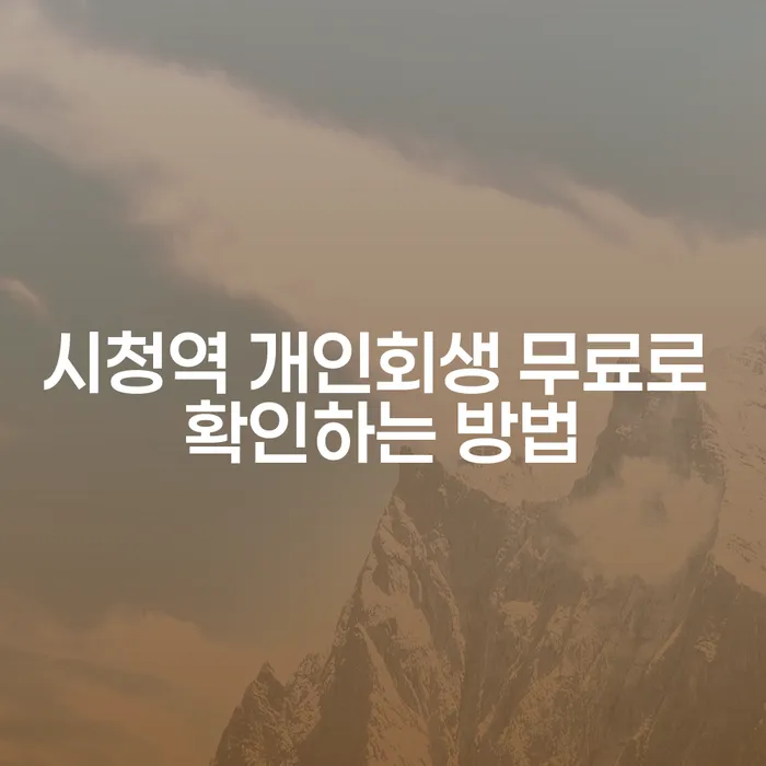 시청역 개인회생 무료로 확인하는 방법