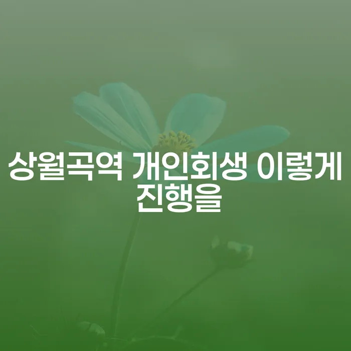 상월곡역 개인회생 이렇게 진행을