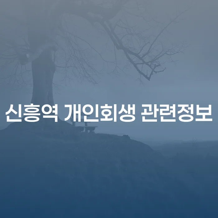 신흥역 개인회생 관련정보
