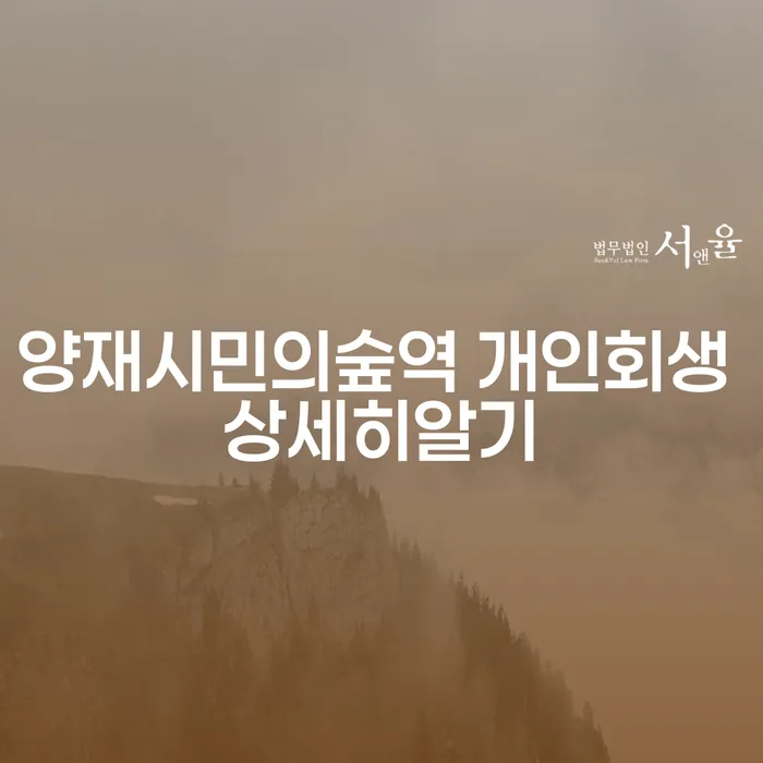 양재시민의숲역 개인회생 상세히알기