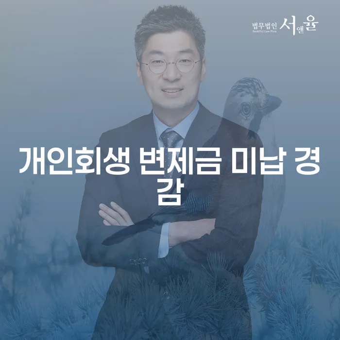 개인회생 변제금 미납 시 경감 받을 수 있는 방법은 무엇일까요?
