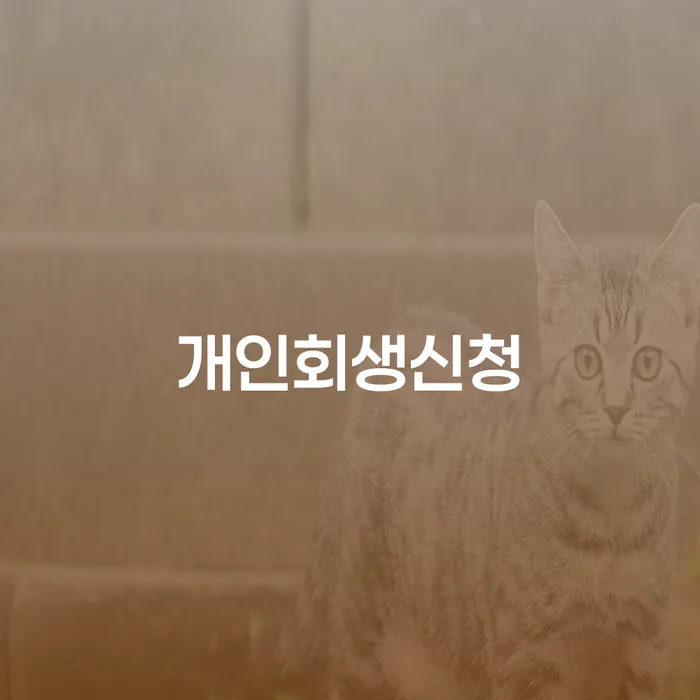 광양시에서 개인회생신청을 고려해야 하는 이유는?