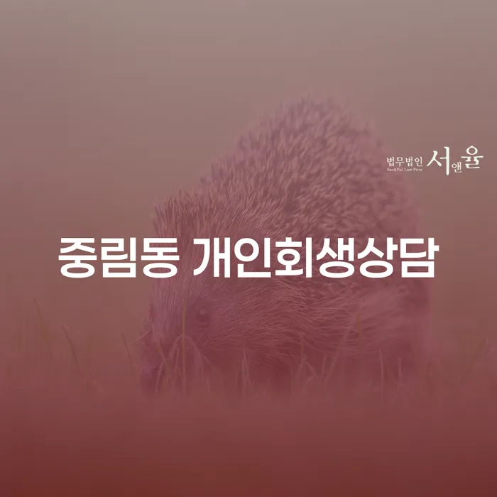 중림동 개인회생상담, 채무 해결의 새로운 시작을 고민하세요?