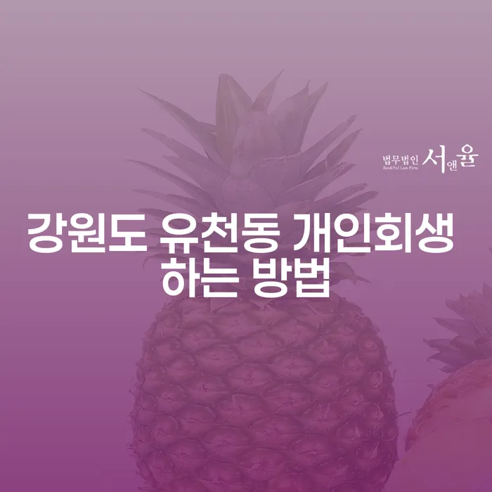 강원도 유천동 개인회생 하는 방법, 어떻게 시작해야 할까요?