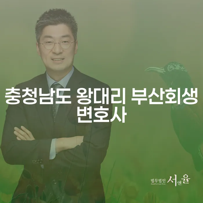 충청남도 왕대리 부산회생변호사: 코인빚 4000만원 개인회생, 당신의 선택은?