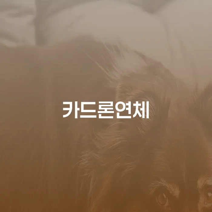 카드론 연체, 어떻게 극복할 수 있을까요?